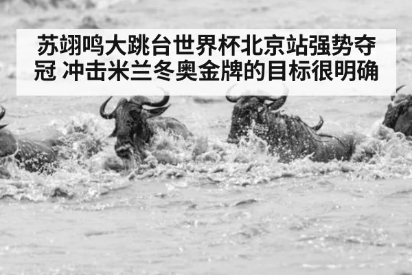 苏翊鸣大跳台世界杯北京站强势夺冠 冲击米兰冬奥金牌的目标很明确